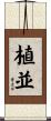 植並 Scroll