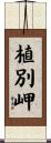 植別岬 Scroll
