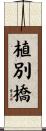 植別橋 Scroll