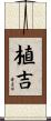 植吉 Scroll