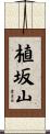 植坂山 Scroll
