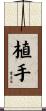 植手 Scroll