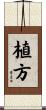 植方 Scroll