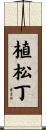 植松丁 Scroll