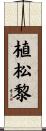 植松黎 Scroll