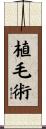 植毛術 Scroll
