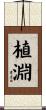 植淵 Scroll