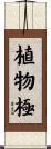 植物極 Scroll