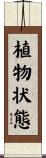 植物状態 Scroll