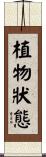 植物狀態 Scroll