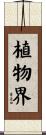 植物界 Scroll