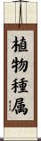 植物種属 Scroll