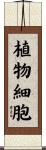 植物細胞 Scroll