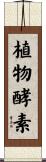 植物酵素 Scroll