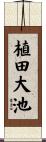 植田大池 Scroll