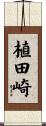 植田崎 Scroll