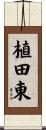 植田東 Scroll
