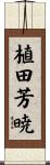 植田芳暁 Scroll
