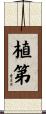 植第 Scroll