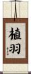 植羽 Scroll