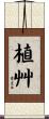 植艸 Scroll