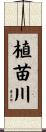 植苗川 Scroll