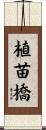 植苗橋 Scroll