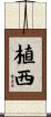 植西 Scroll