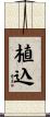 植込 Scroll