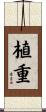植重 Scroll