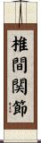 椎間関節 Scroll