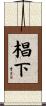 椙下 Scroll