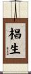 椙生 Scroll