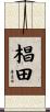 椙田 Scroll