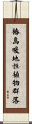 椿島暖地性植物群落 Scroll