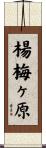 楊梅ヶ原 Scroll