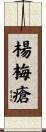 楊梅瘡 Scroll