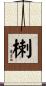 楋 Scroll