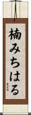 楠みちはる Scroll