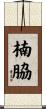 楠脇 Scroll