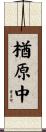 楢原中 Scroll