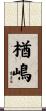 楢嶋 Scroll