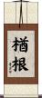 楢根 Scroll