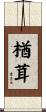 楢茸 Scroll