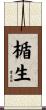 楯生 Scroll