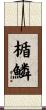 楯鱗 Scroll