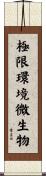 極限環境微生物 Scroll