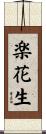 楽花生 Scroll