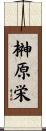 榊原栄 Scroll