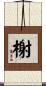 榭 Scroll